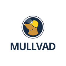Mullvad VPN Logo 7 Mullvad VPN Logo 7